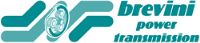 BREVINI DE MEXICO Logo