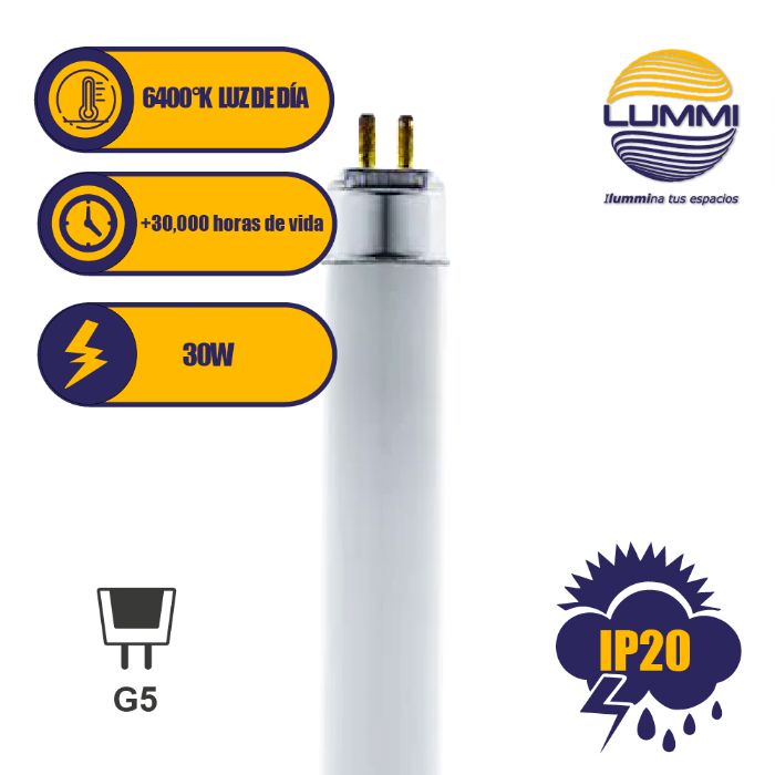 Tubo Fluorescente Luz De Dia 30w. T8 (fl30dt8) - LUMMI