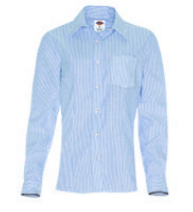 BLUSA PARA MUJER MANGA LARGA - DICKIES