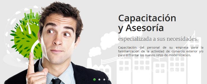 Asesoría, Capacitación, y comercialización en Comercio Exterior - 