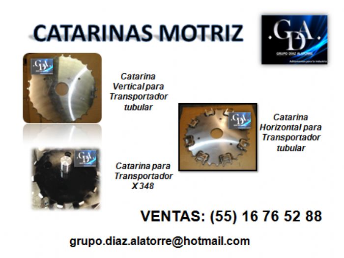CATARINAS MOTRIZ - 