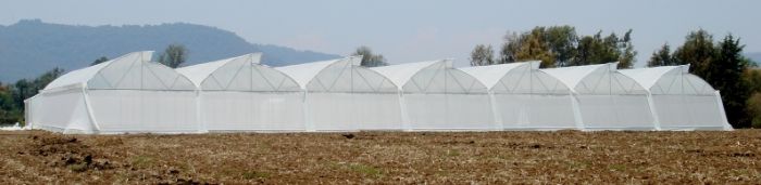 POLIETILENO PARA INVERNADEROS - 