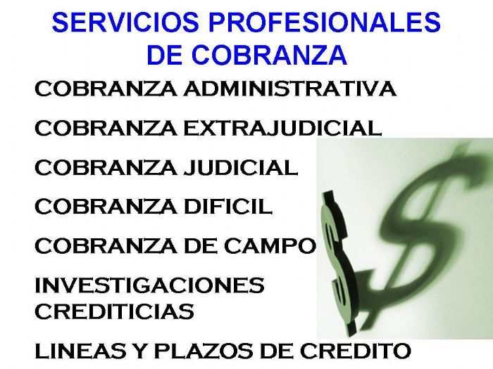 SERVICIOS PROFESIONALES EN COBRANZA  - 