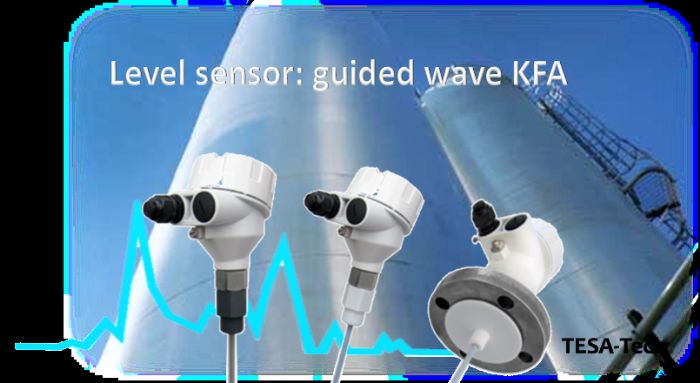 Guided wave sensor - KFA