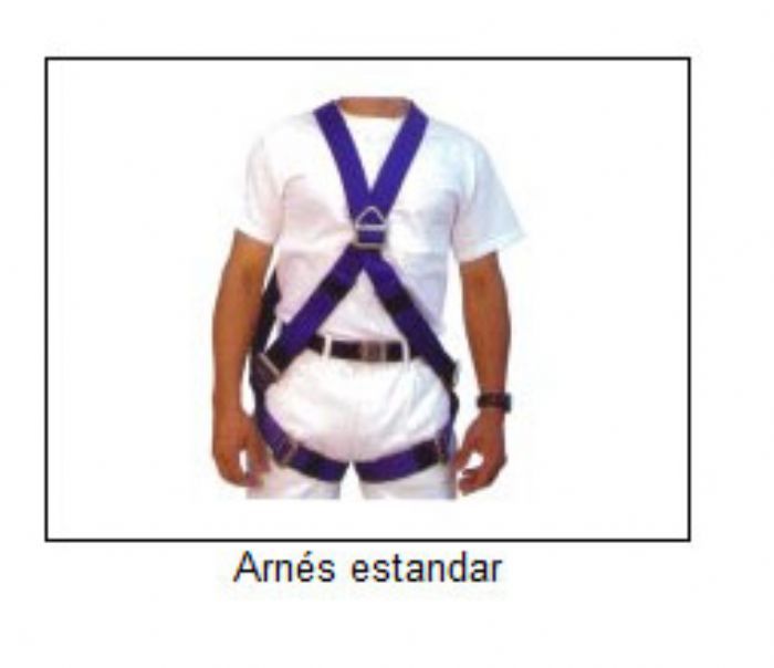 ARNES ESTANDAR - 