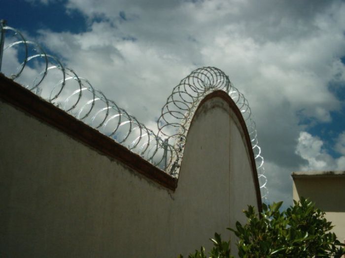 CONCERTINA Y ELECTRIFICADAS - 