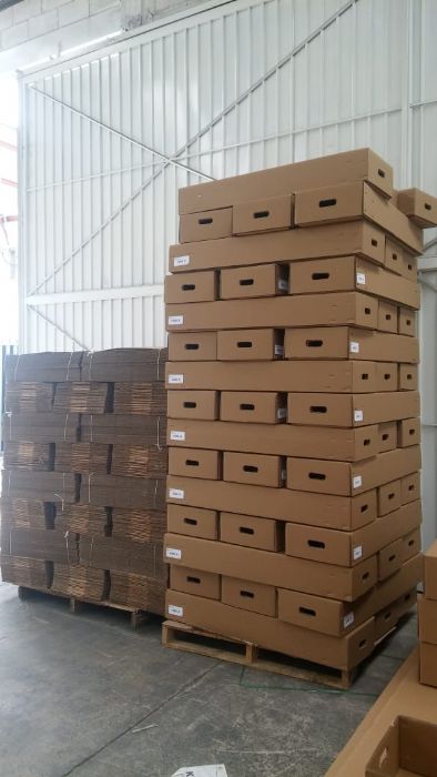CAJAS DE CARTON CORRUGADO - EJ KARTONAGE