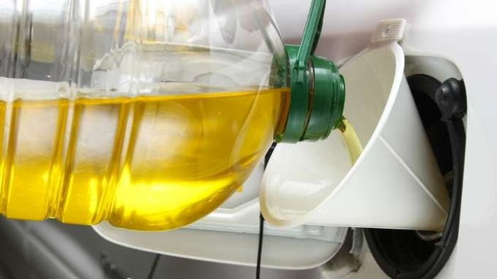 BIO COMBUSTIBLE - ecotechoil