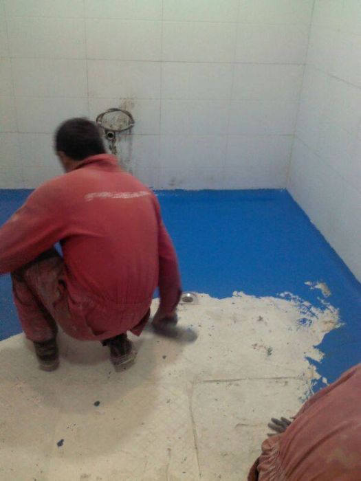 CURVAS SANITARIAS - 