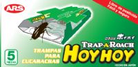 Hoy Hoy