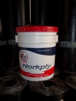 NORK CRILL 5 AÑOS