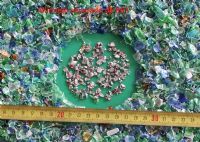 Maquila separacion de pet plasticos de metales - 