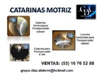 CATARINAS MOTRIZ
