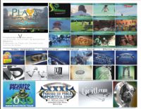 VIDEO PROFESIONAL
