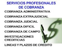 SERVICIOS PROFESIONALES EN COBRANZA  - 