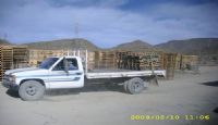 Tarima de Madera Reciclada 42
