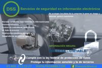 DSS Data Security Services