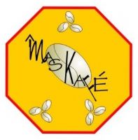 MAQUINARIA PARA CAFE