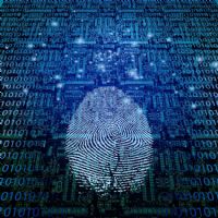 Soluciones en Tecnologías de la Información y Comunicaciones - MAIA - MAIA