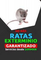 FUMIGACION DE RATAS. - 